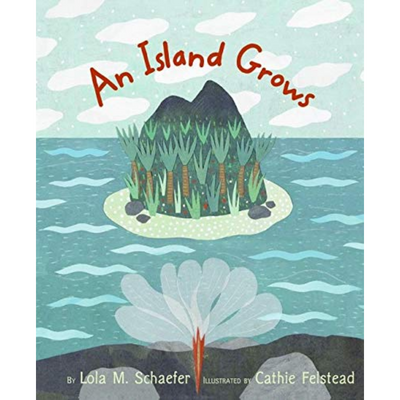 An Island Grows