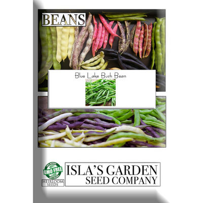 Green Bean Seeds