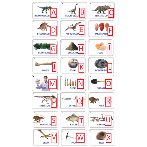 Set of Word Bank Cards