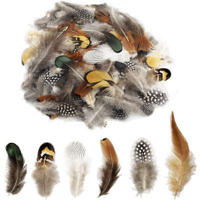 Assorted Feathers