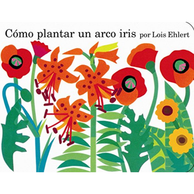 Cómo plantar un arco iris