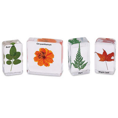 Plants Specimen Set
