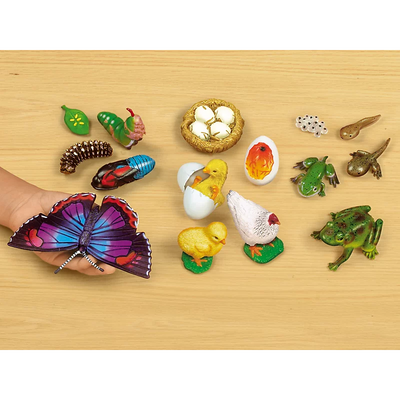 Life Cycle Sequencing Kit