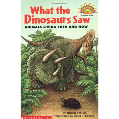 What the Dinosaurs Saw