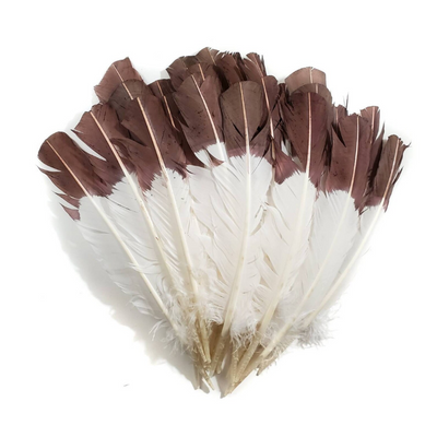 Imitation Eagle Feathers
