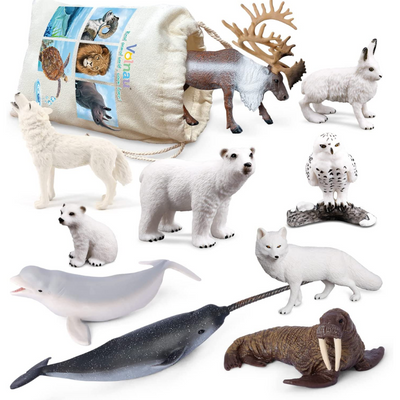 Arctic Animals