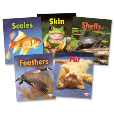 Body Coverings Book Set