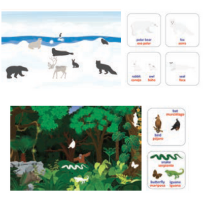 Camo Graphics (Arctic, Jungle)