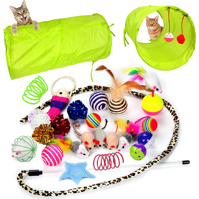 Cat Toys