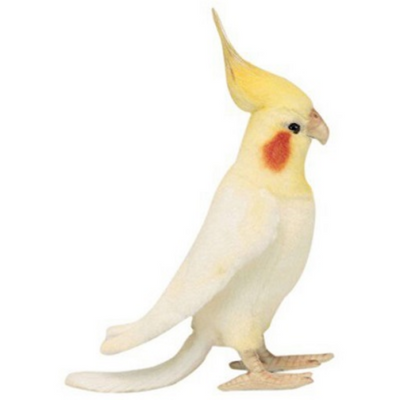 Cockatiel Plush