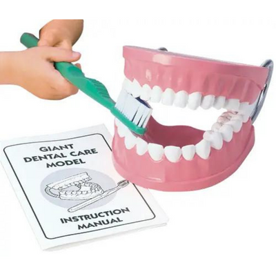 Giant Dental Care Model