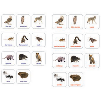 Animal Cards