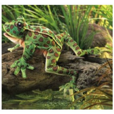 Frog Puppet