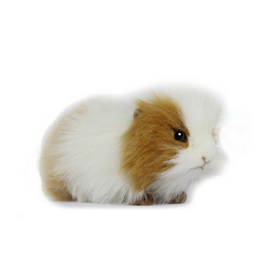 Guinea Pig Plush