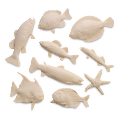 Gyotaku Fish Printing Set