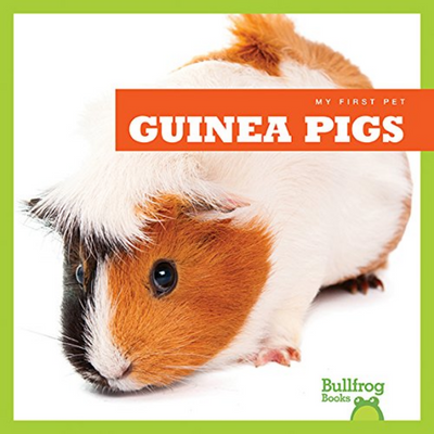 My First Pet: Guinea Pigs