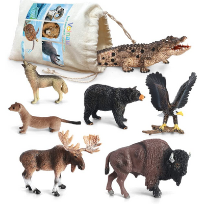 North American Animals