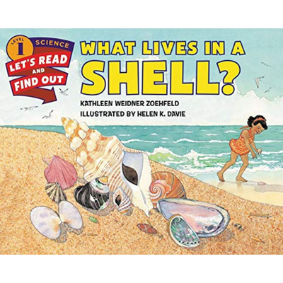 What Lives in a Shell?