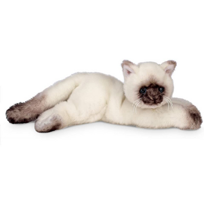Siamese Kitten Plush