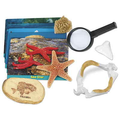 Sea Life Specimen Center