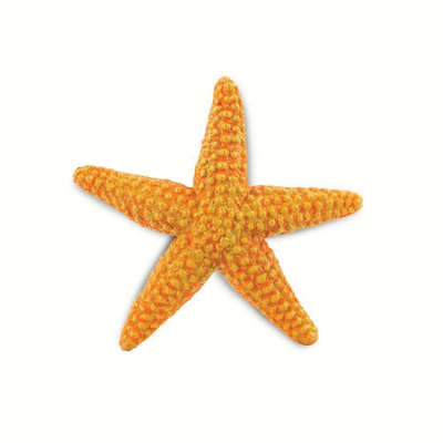 Orange Starfish