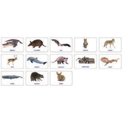 Texas Wildlife Images