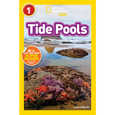 Tide Pools