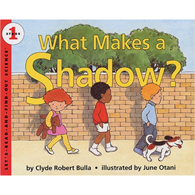 What Makes a Shadow