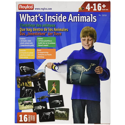 What's Inside Animals Flashcards