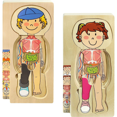 Wooden Anatomy Puzzle Pack