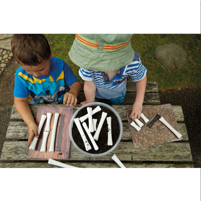Dinosaur Bones Match & Measure Set