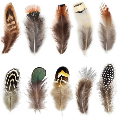 Natural Feathers