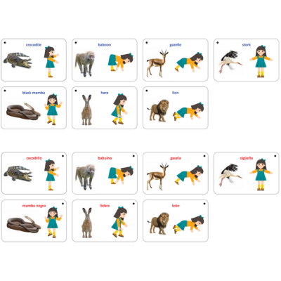 Animal Movement Cards
