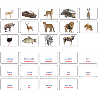 Prey and Predator Cards