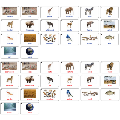 Word Bank Identification Cards